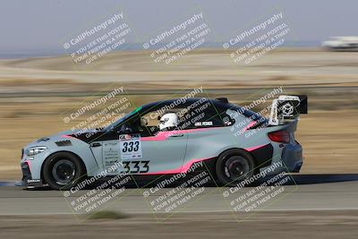 media/Nov-11-2023-GTA Finals Buttonwillow (Sat) [[117180e161]]/Group 2/Close Ups/